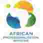 African Professionalisation Initiative