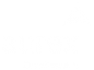 Aurex Constructors